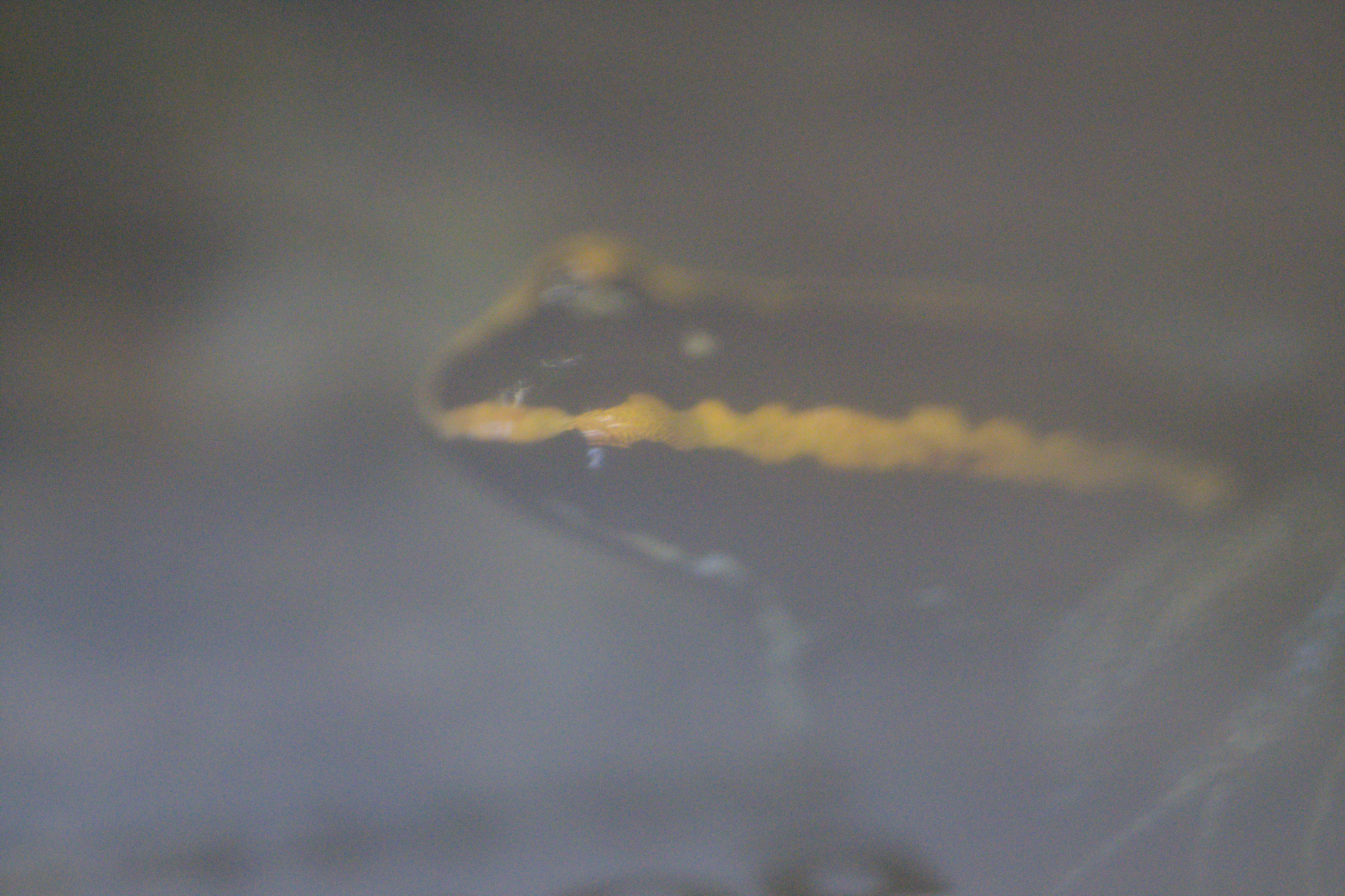 2025/10/12 - zoo/DSC_0191.jpg